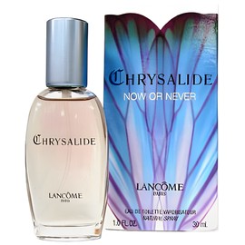 Chrysalide Now or Never