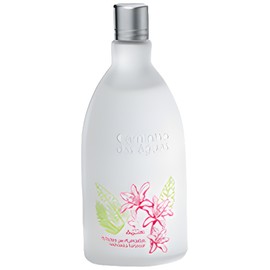 perfume Edições Perfumadas Cachoeira Furta-Cor