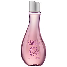 perfume Amor de Verão