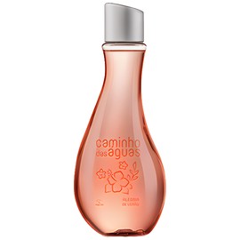 perfume Alegria de Verão