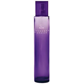perfume Lavanda de Grasse