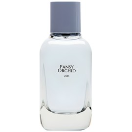 perfume Pansy Orchid