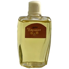Нарцисс (Narcissus)