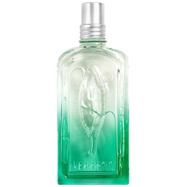 Verveine Fleur de Carotte