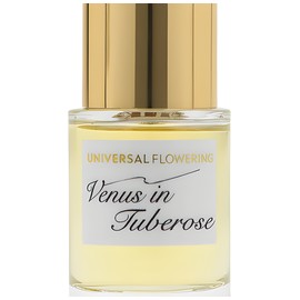 Venus in Tuberose