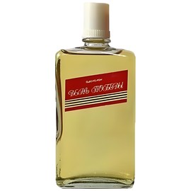 perfume День Победы - Victory Day