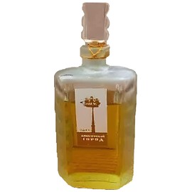 perfume Любимый Город (cologne)