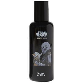 Star Wars The Mandalorian