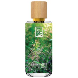 perfume Blossom of Vetiver