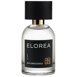 INFLORESCENCE (송아리)