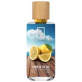 perfume Citrus Of The Sea