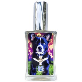 Blue Dog