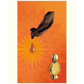 Shatha Al Oudh