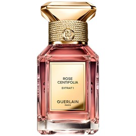 Rose Centifolia Extrait 1
