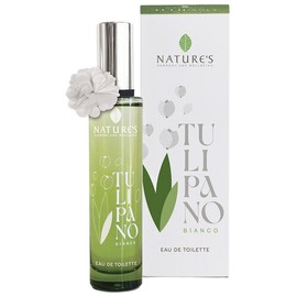Tulipano Bianco