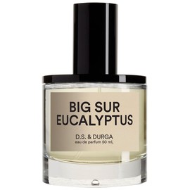 Big Sur Eucalyptus