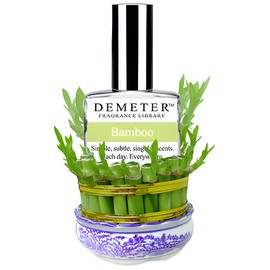 Bamboo