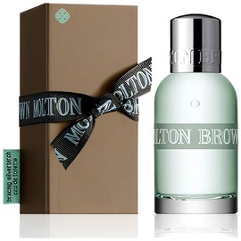 perfume Bracing Silverbirch