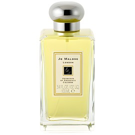 Verbenas of Provence