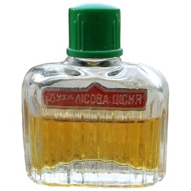 perfume Лесная песня - Лiсова Пiсня