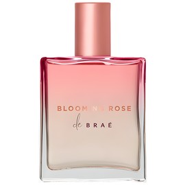 Blooming Rose