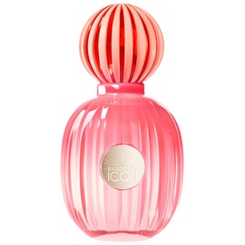 perfume The Icon Splendid