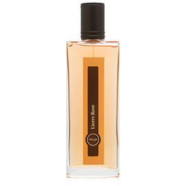 Lierre Rose