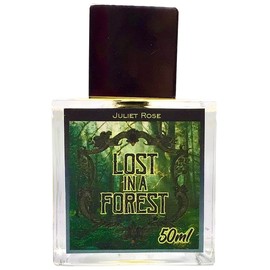Lost in a Forest