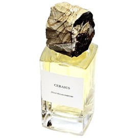 Cerasus
