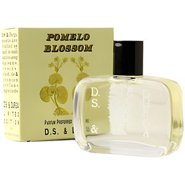 Pomelo Blossom