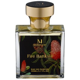 perfume Fire Banksia