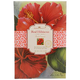 Red Hibiscus