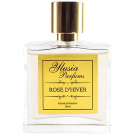 Rose d'Hiver
