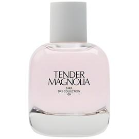 Tender Magnolia