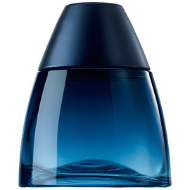 perfume Blue Rush Intense
