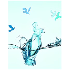 L'Eau du Temps