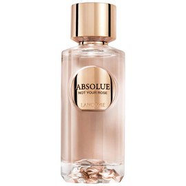 Absolue Not Your Rose