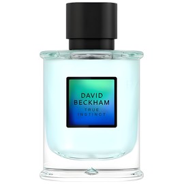 perfume David Beckham True Instinct