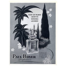 perfume Sous Les Palmes