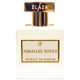 Parallel Souls