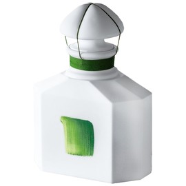 Souvenir d'Orchidée