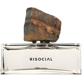 perfume Cardamom 豆蔻雪松