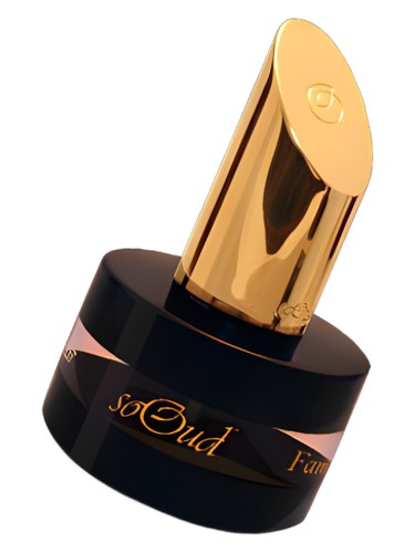 perfume Fam SoOud pro ženy a muže 