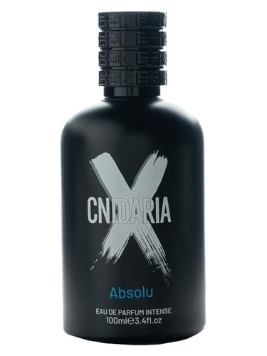 Cnidaria X Absolu