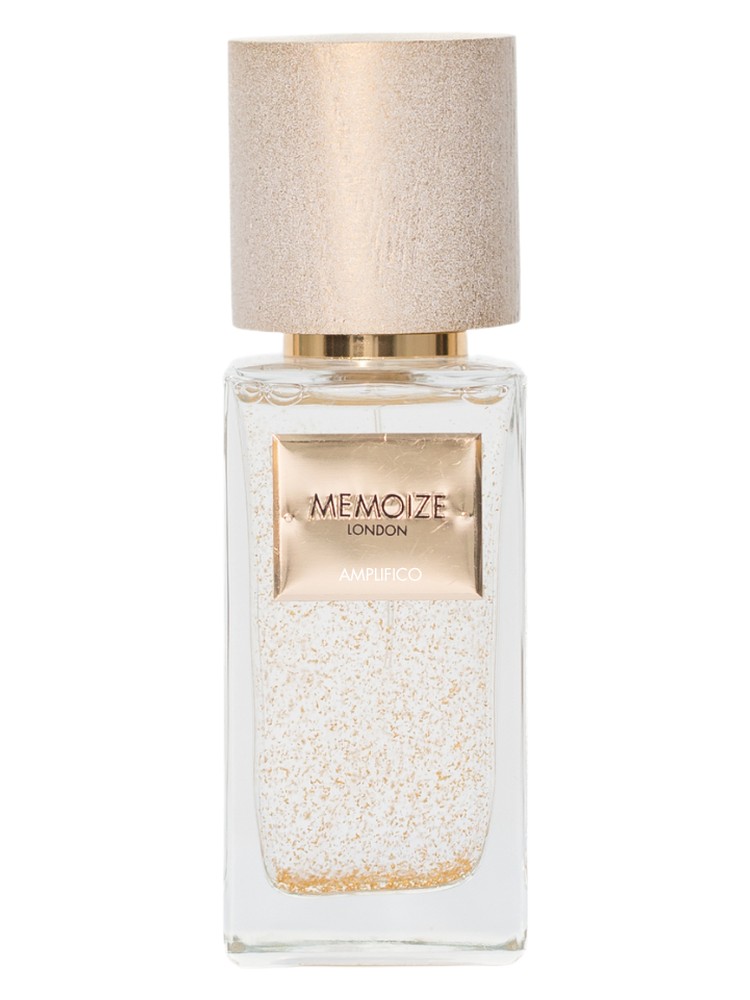 Amplifico Memoize London perfume - a new fragrance for women and men 2024