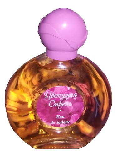 Цветущая сирень Северное сияние pro ženy