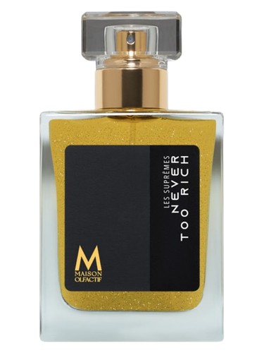 Never Too Rich MAISON OLFACTIF pro ženy a muže 