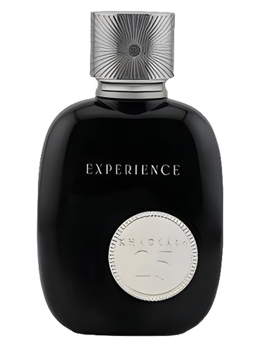 香水(ユニセックス) Khadlaj Experience 100ml 25 Experience Khadlaj Perfumes perfume - a new fragrance for