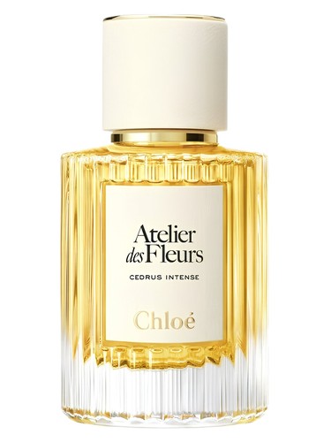 Cedrus Intense Chloé perfume - a new fragrance for women 2025
