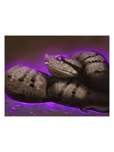 perfume Asp Viper Black Phoenix Alchemy Lab ユニセックス